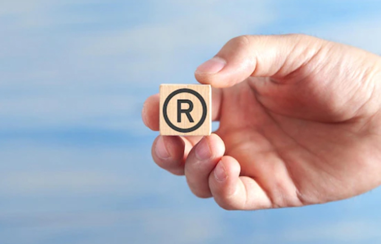 Marka ve Patent Tescili